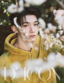 &TEAM - DICON VOLUME N°28 &TEAM Real and Rare (NICHOLAS ver